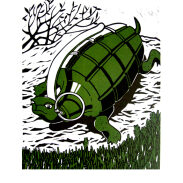 Tortue