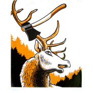 Cerf